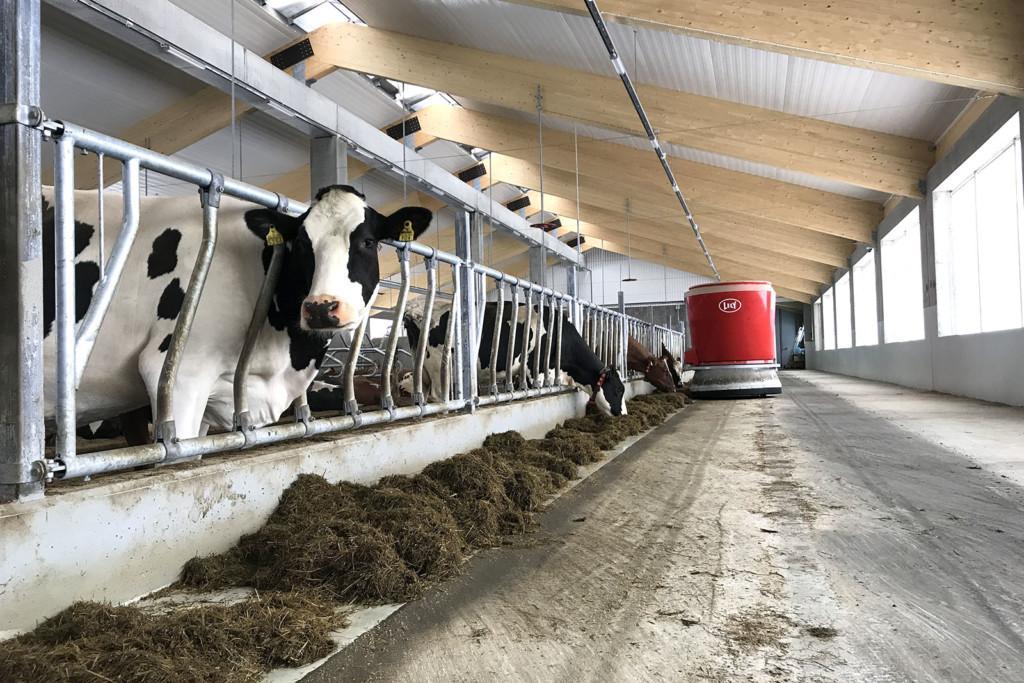 Keski-Pohjanmaan ammattiopiston Kannuksen-opetusnavetan karja ruokitaan automaattisella Lely Vector -ruokintajärjestelmällä. 