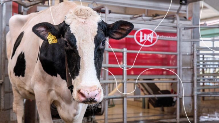 Lely opintomatka Hollantiin
