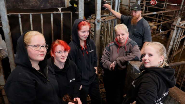 Iso-Vihun tilan ”navettatiimi" Jenna Harju, Susanna ja Janica Koivumäki, Jonna Peltonen, Jemina Koivumäki ja Jyrki Koivumäki.