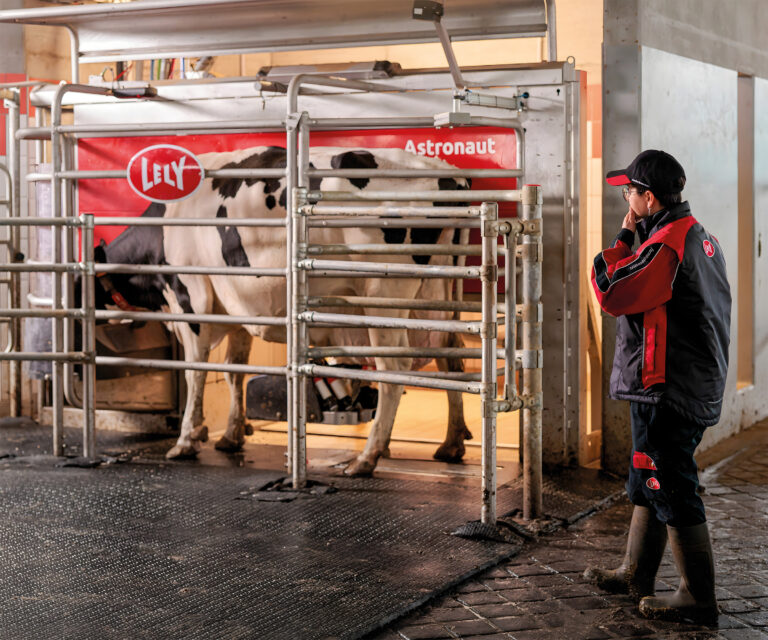 Lely Astronaut A5 Next, jossa lehmä lypsyllä ja henkilö katselee