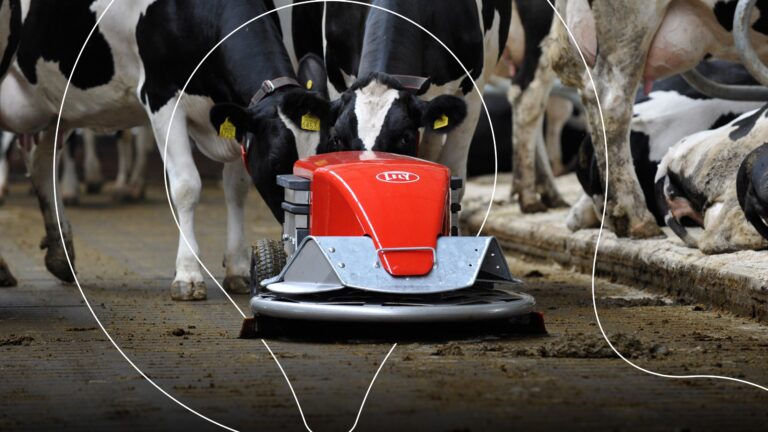 Lely Discovery navetassa