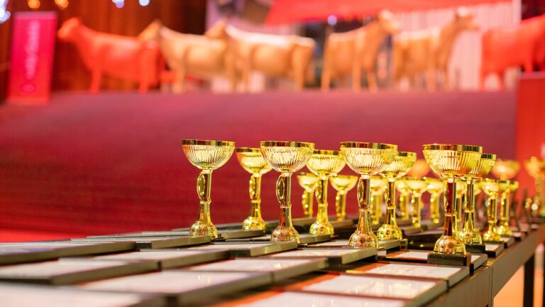 Palkintoja pöydällä