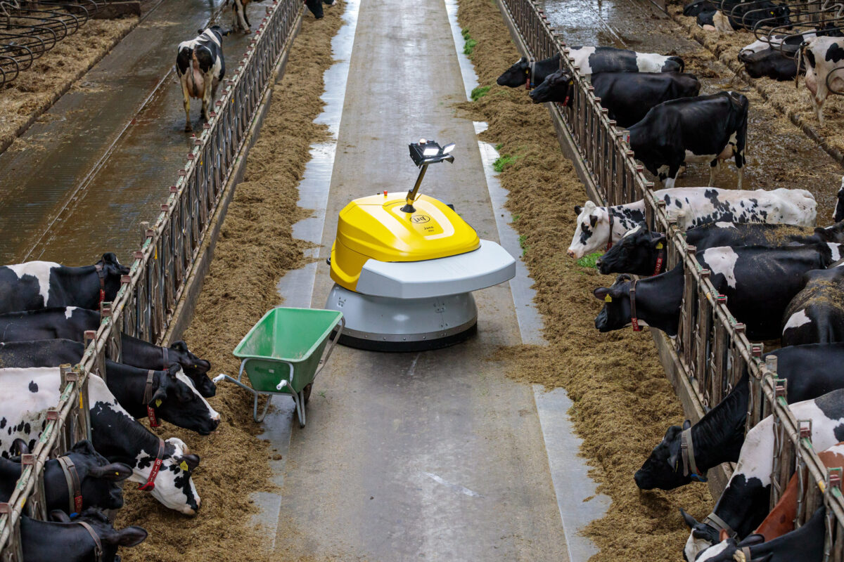 Lely Juno Max pihatossa