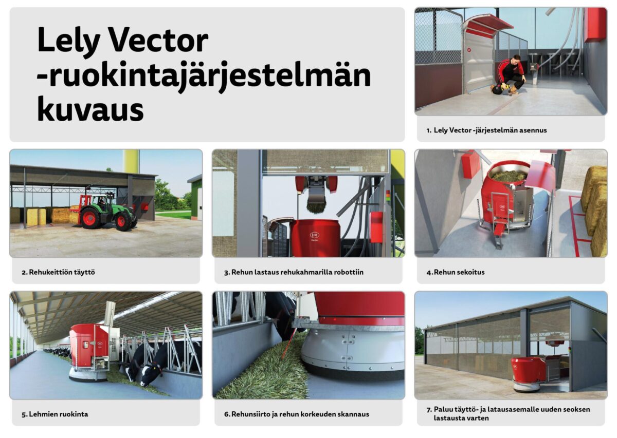 Vectoer ruokintajärjestelmän kuvaus
