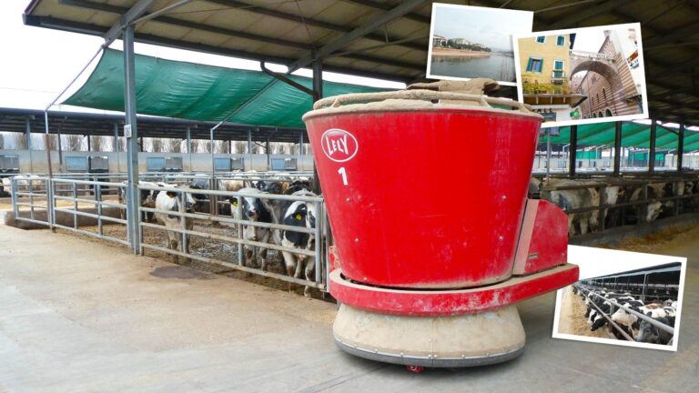 Lely Vector italialaisella tilalla